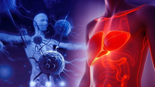 Thải độc cơ thể mỗi ngày: Bí quyết khỏe mạnh từ giấc ngủ và thực phẩm tự nhiên