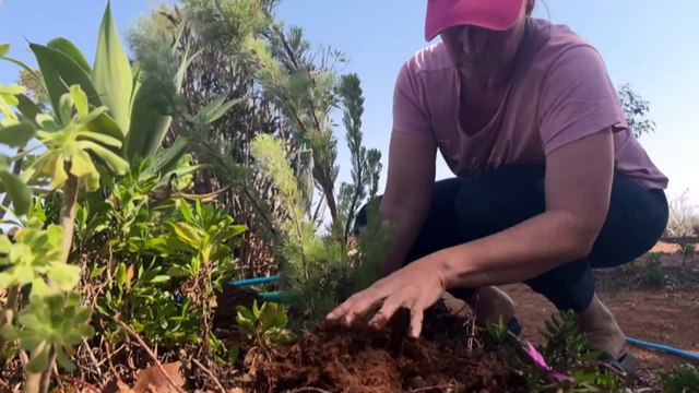 Housing affordability, lifestyle key reasons people are increasingly opting for remote Australia