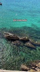 La triste vérité #motivation #conseils #proverbe #citation