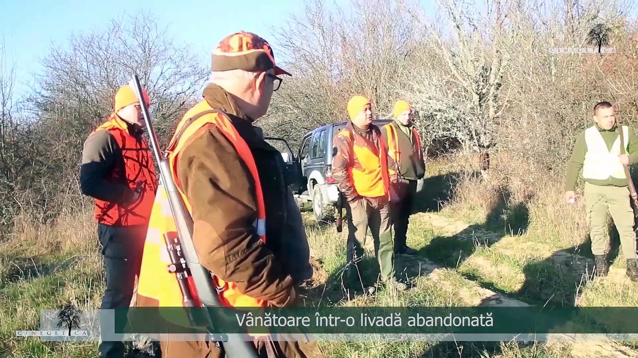 AJVPS Ileanda-Vânătoare la mistreți (10 noiembrie 2024)