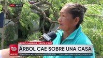 Debido a fuertes vientos, un árbol cayó sobre las habitaciones de cuatro niños; abuela pide ayuda para refacciones