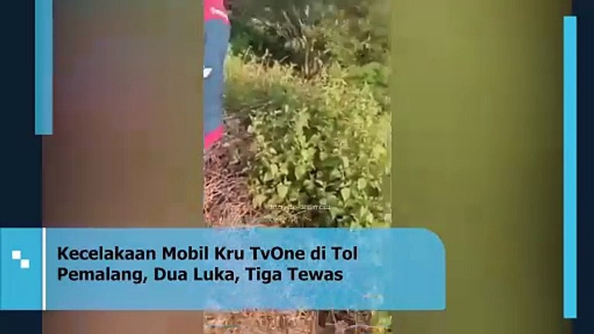 Kecelakaan Mobil Kru TVOne di Tol Pemalang, Dua Luka, Tiga Tewas