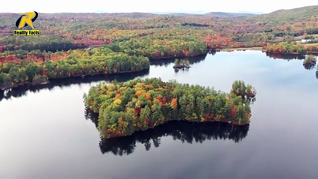 Global trading and sourcing company