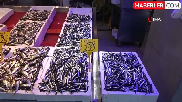 Karadeniz'de Balık Av Sezonu Başladı: Palamut ve Hamsi Tezgahlarda