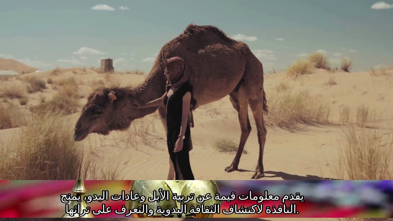 قصة رجل مشى في البر ولقى بيت شعر وما فيه إلا امرأة فسألها عن زوجها  قناة بنت الشيوخ