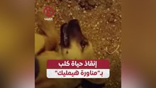 إنقاذ حياة كلب بـ"مناورة هيمليك"