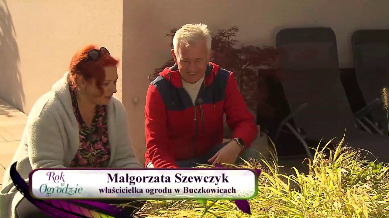 Rok w ogrodzie - 01.11.2024 - programy, Oglądaj na TVP VOD