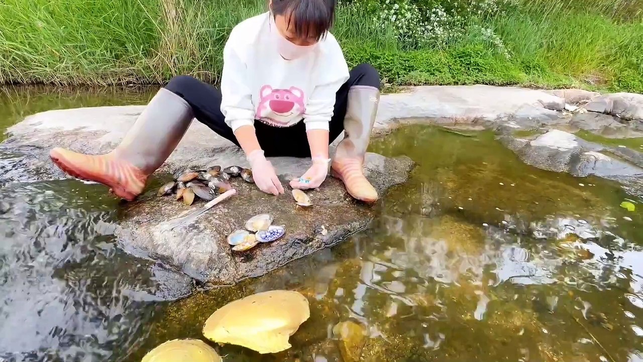 The centuries-old reservoir suddenly dried up. A large number of pearl oysters are facing a crisis.