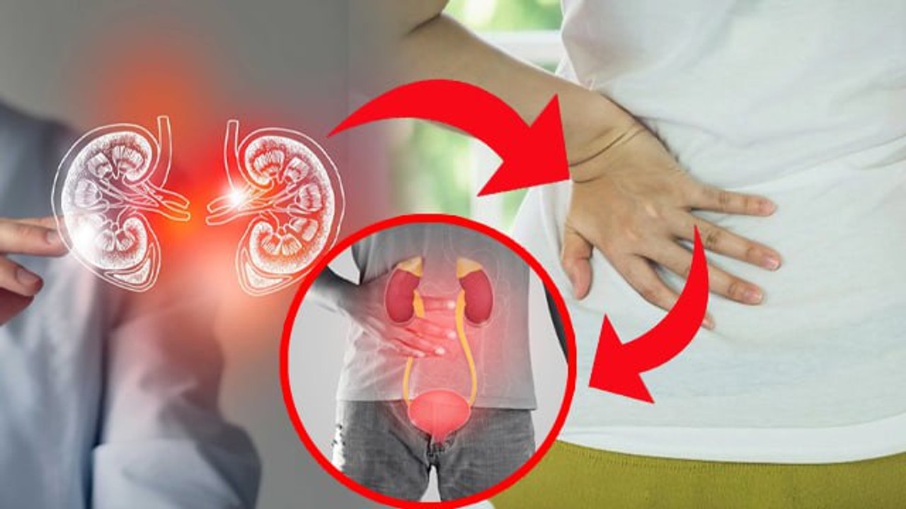 Kidney Infection Kyu Hota Hai, Kidney Infection Reasons And Symptoms | Boldsky