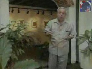 Andar la habana end By BurronAzul.net