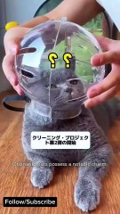 Incredible Facts About Animals
