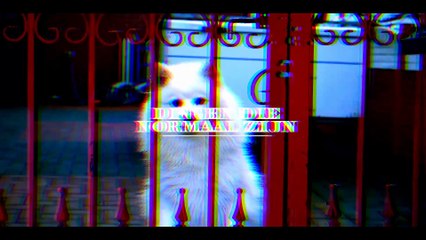 Dingen Die Normaal Zijn - Fernando & Piet Junior (official Video)