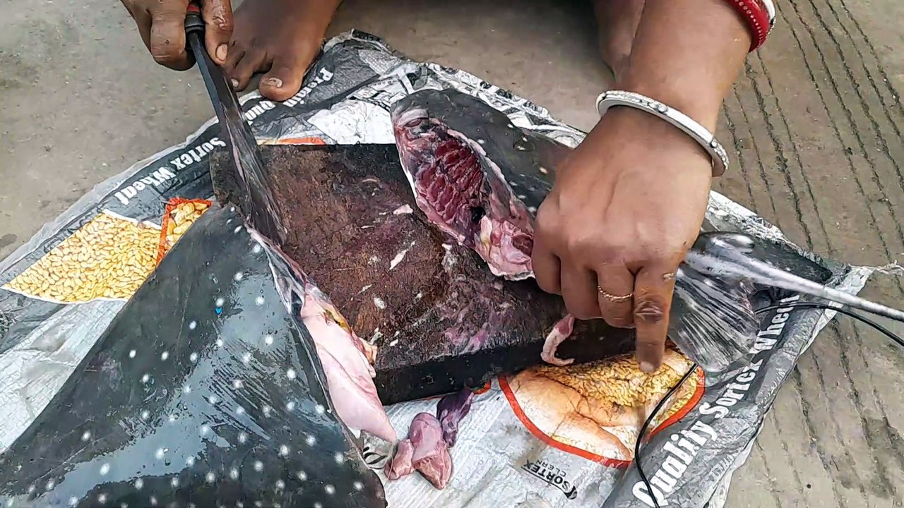 How to Cut and Clean a Spotted Eagle Ray (Aetobatus Narinari) at Home