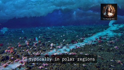 Brinicles: The "Icicles of Death" in the Ocean.