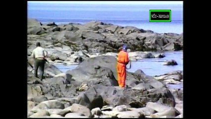 Sobrevivientes: la callejuela del Oso Polar - Documental (1995) - Español Latino