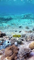 De l'idée à l'évidence : Transformez vos idées en certitudes concrètes 💡