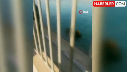 Şanlıurfa'da Sulama Kanalına Düşen Çocuk Boğuldu