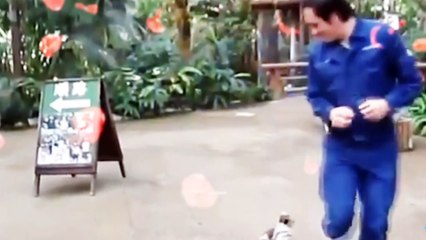 عندما يكونون في مزاج جيد...When THEY are in mood  https://shorturl.at/HBLW1