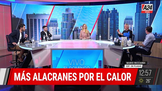 ⚠️ TEMPORADA DE PLAGAS: LOS CONSEJOS DE UN EXPERTO EN CONTROL DE PLAGAS