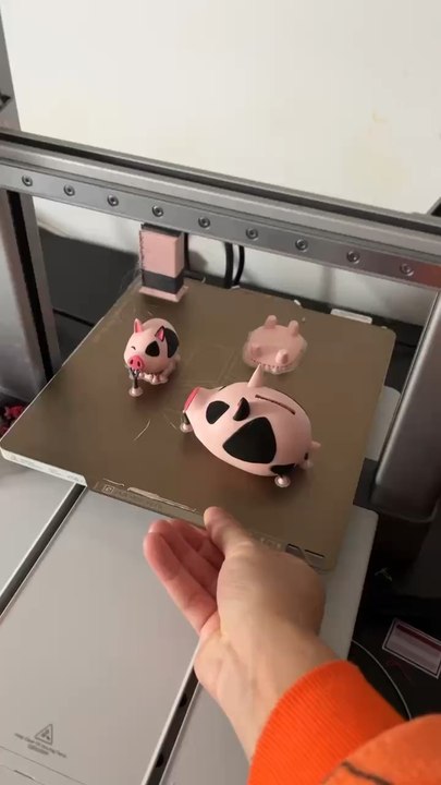 J’adore mes petits cochons 😂☺️