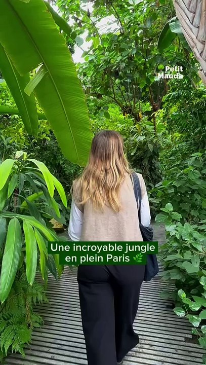 Découvrez les Grandes Serres du Jardin des Plantes à Paris, un véritable écrin de biodiversité ! 🌿   Actuellement, ces serres abritent une incroyable variété de plantes exotiques et tropicales, offrant une immersion dans des écosystèmes fascinants. 🌺