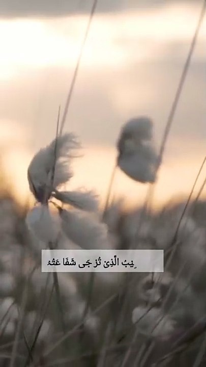 Maula Ya Salli Wa Sallim" -You said: SEO friendly tiktok hashtag maula ya salli wa sallim 😍 emotional nasheed with cute