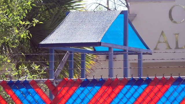 Hijos nacidos del corazón cuando el amor crea familias