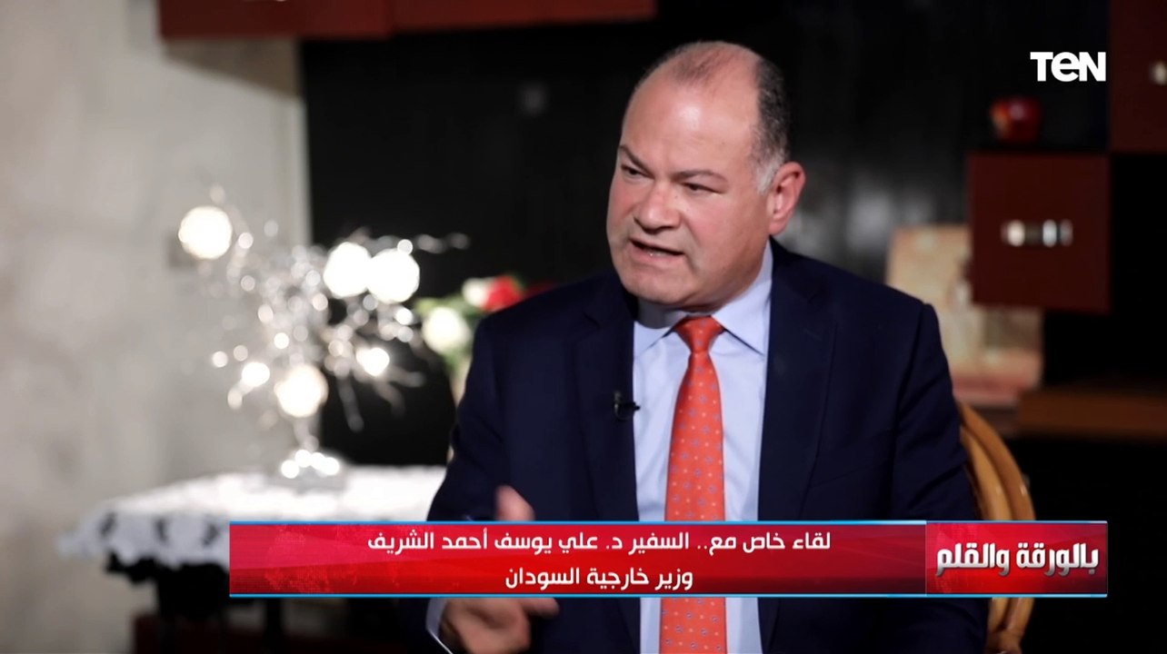 متميزة وواضحة..  وزير خارجية السودان يشيد بمواقف جامعة الدول العربية تجاه الوضع في السودان