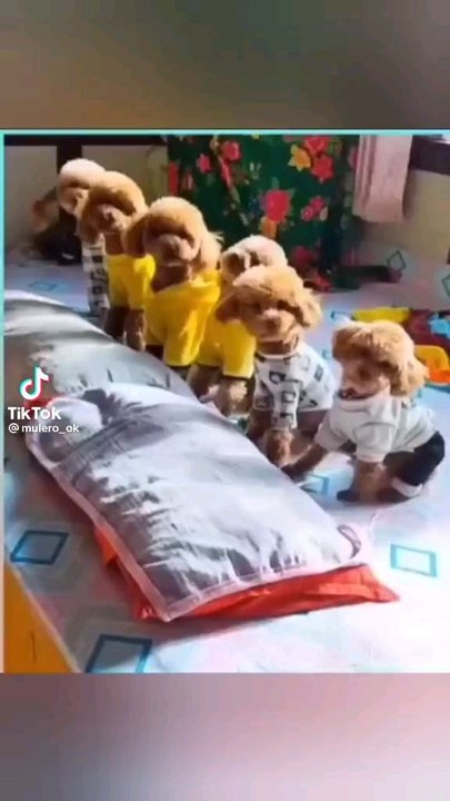 Este es mi vídeo más reciente