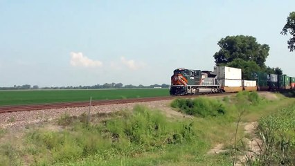 HD_ 8_19_13 UP 1983  Western Pacific  Heritage Unit leads KOAMN-16