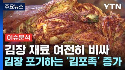 [스타트경제]김장 재료 여전히 비싸...김장 포기하는 '김포족' 증가 / YTN