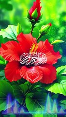 Surah Al Akhlas recitation