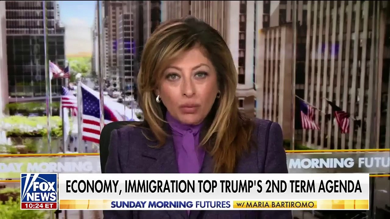 Trump's deportation plan will be a 'cost savings' for Americans: Ex-ICE director | news9 | news 9 | One America news |