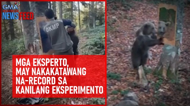 Mga eksperto, may nakakatawang na-record sa kanilang eksperimento | GMA Integrated Newsfeed