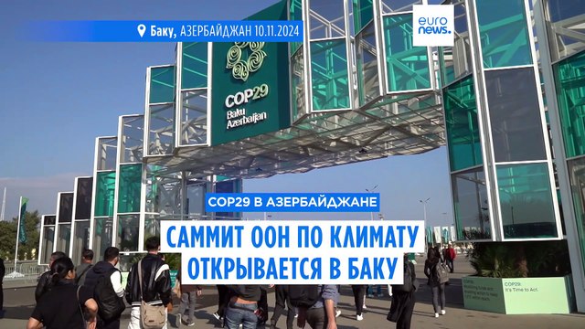COP29 в Баку: финансирование развивающихся стран и частный сектор