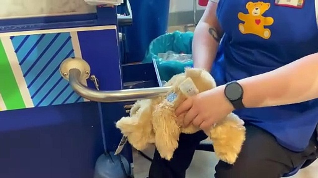 Hamleys build a bear