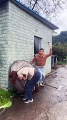 Hehehe so funny video