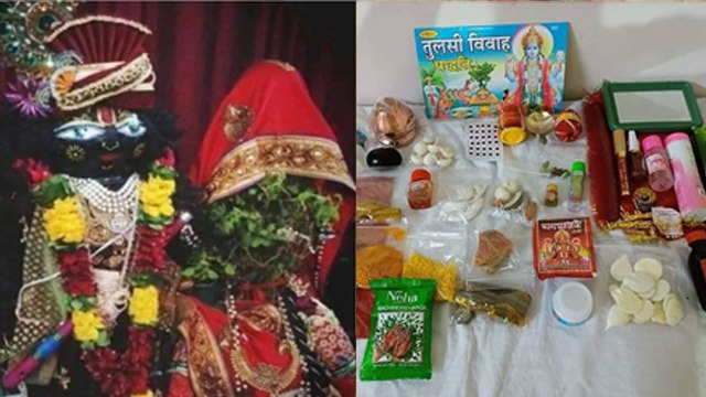 Tulsi Vivah Vidhi At Home 2024: तुलसी विवाह सामग्री लिस्ट 2024, घर पर कैसे कराएं तुलसी विवाह, विधि..