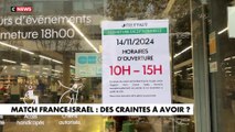 Match France-Israël  : Un important dispositif de sécurité va être mis en place avec plus de 4.000 forces de l'ordre mobilisées