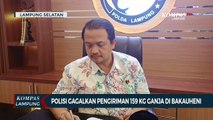 Detik-Detik Polisi Gagalkan Pengiriman 159 Kg Ganja di Bakauheni