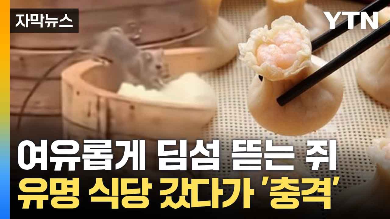 [자막뉴스] "주방에 쥐가"... 144년 전통 딤섬집의 황당한 광경 / YTN