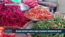 Jelang Nataru Harga Cabai & Bawang Mulai Merangkak Naik