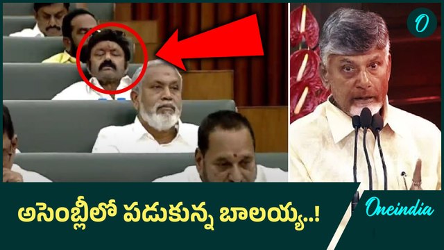 అసెంబ్లీలో పడుకున్న బాలయ్య..! బావ సీరియస్ | Bala Krishna | CM Chandrabbau | AP Assembly | Oneindia