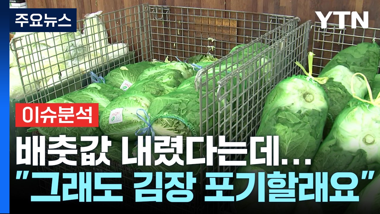 [경제PICK] 배춧값 내렸다는데..."그래도 김장 포기할래요" / YTN