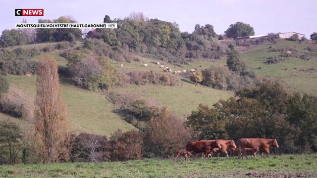 Agriculture : l’accord de libre échange avec le Mercosur inquiète les agriculteurs français