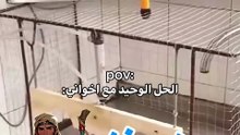 مش قلنا الي ياكل في طبق يغسله