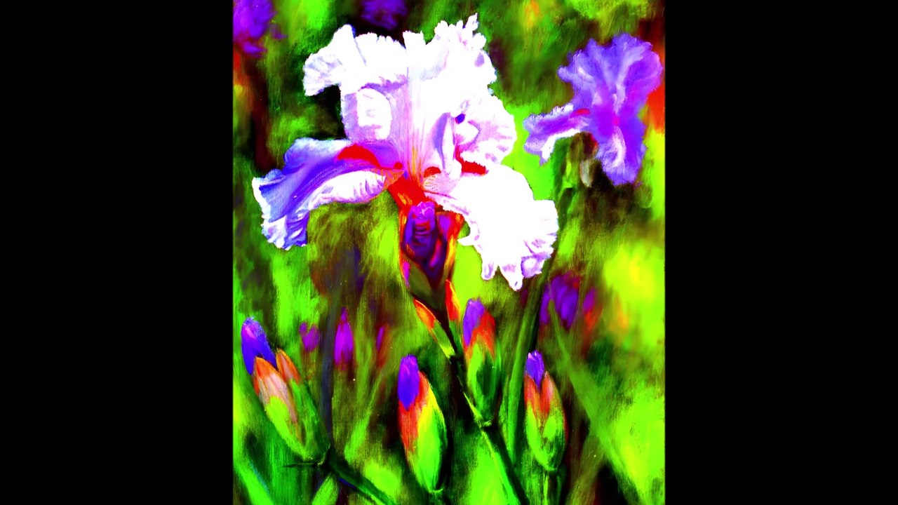 #Iris30 ,