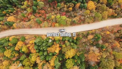 Today's Divine Message – November 11, 2024 ✨