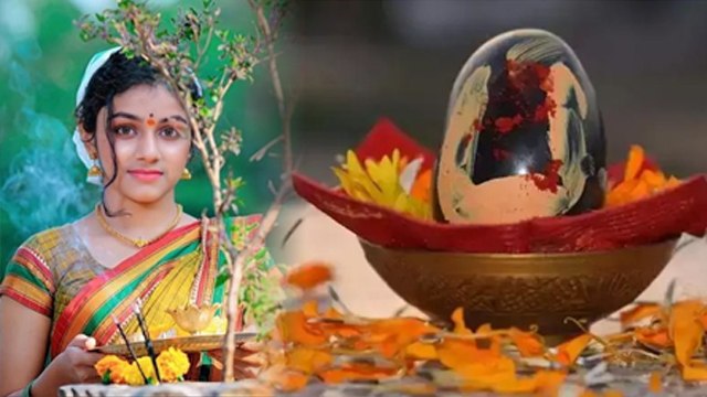 Tulsi Vivah Vidhi 2024: घर में शालिग्राम ना हो तो कैसे करें तुलसी विवाह, सरल विधि | Boldsky