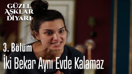 İki Bekar Aynı Evde Kalamaz - Güzel Aşklar Diyarı 3. Bölüm